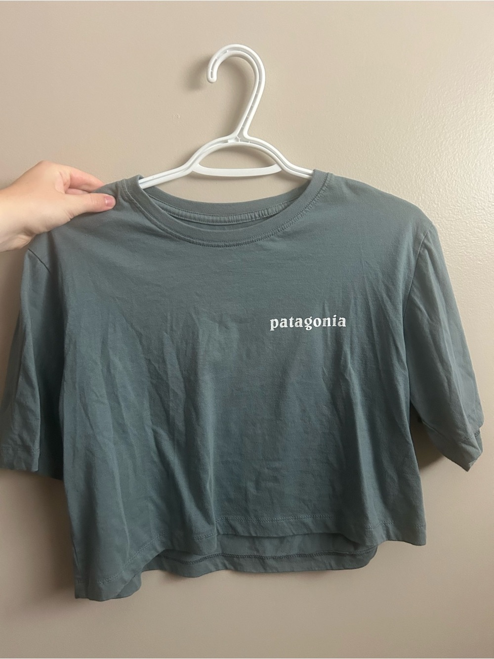 Patagonia Cropped Logo Tee — Slate Green